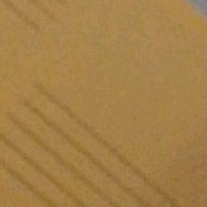 Meet your Posher, Skylar